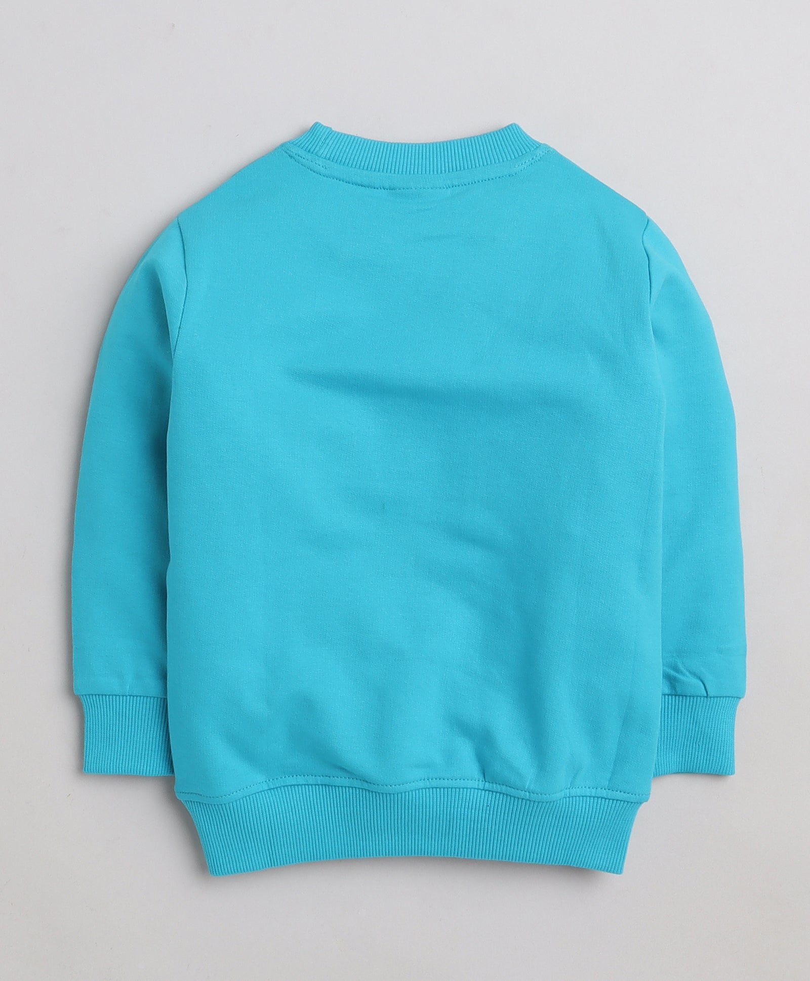Boys 100% Cotton NA Sweatshirt - Morpho Blue