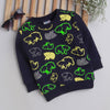 Boys 100% Cotton NA Sweatshirt - Navy