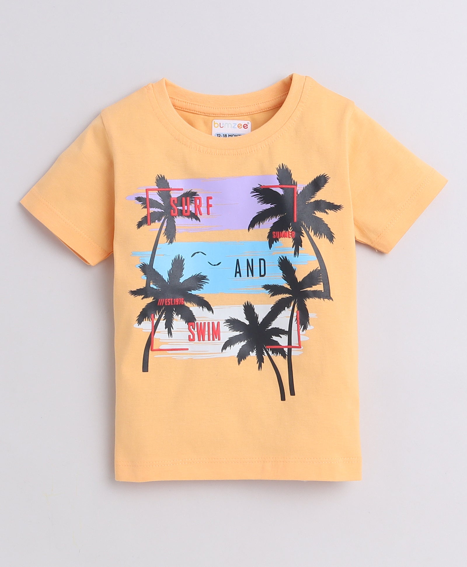 Boys 100% Cotton NA T-Shirt & Short Set - Orange & Grey