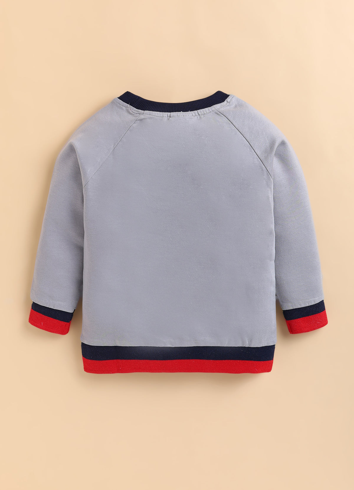 Bumzee Grey Graphic Print Sweatshirt, Raglan Sleeves, French Terry