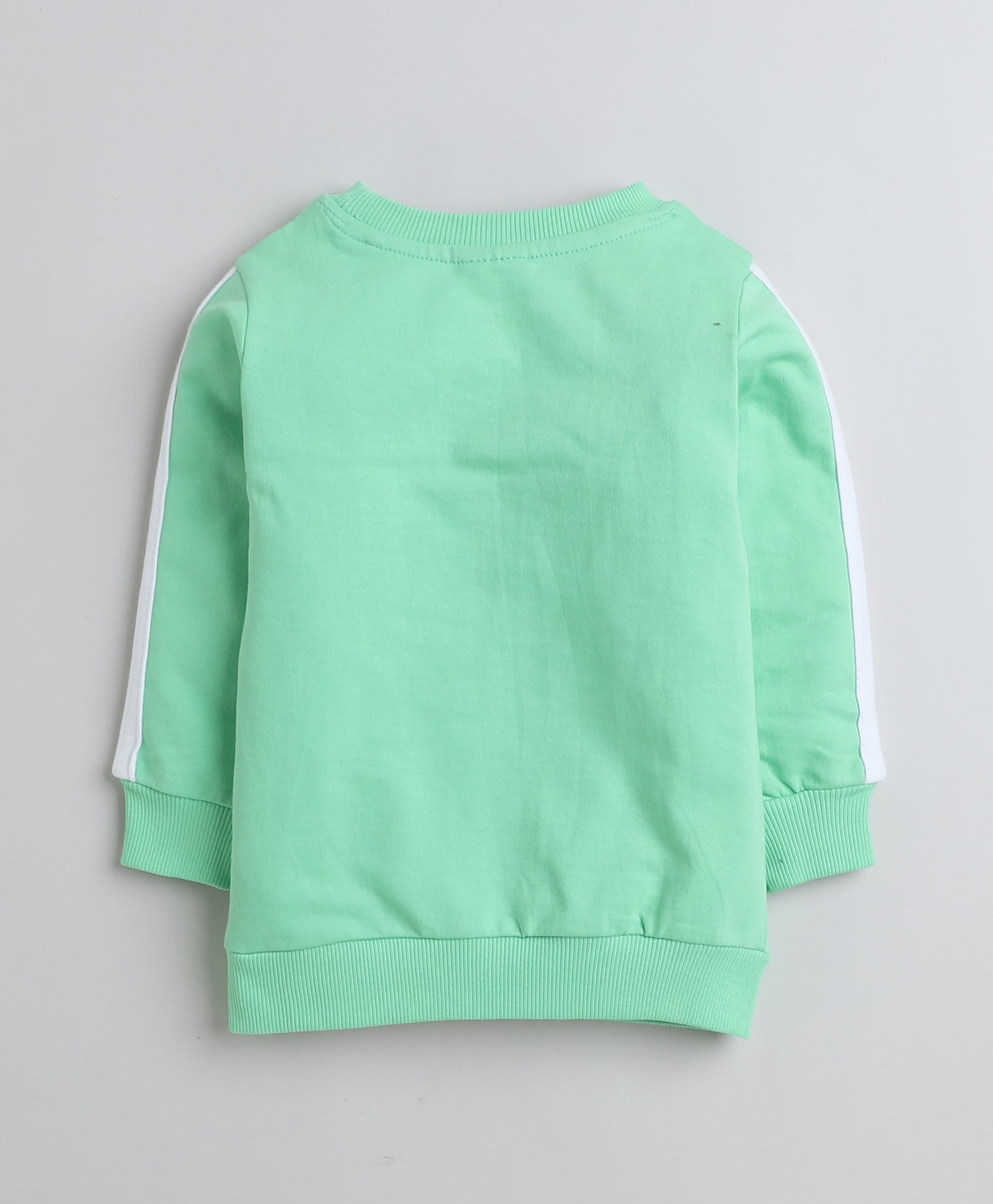 Boys French Terry Cartoon Sweatshirt - Light Green