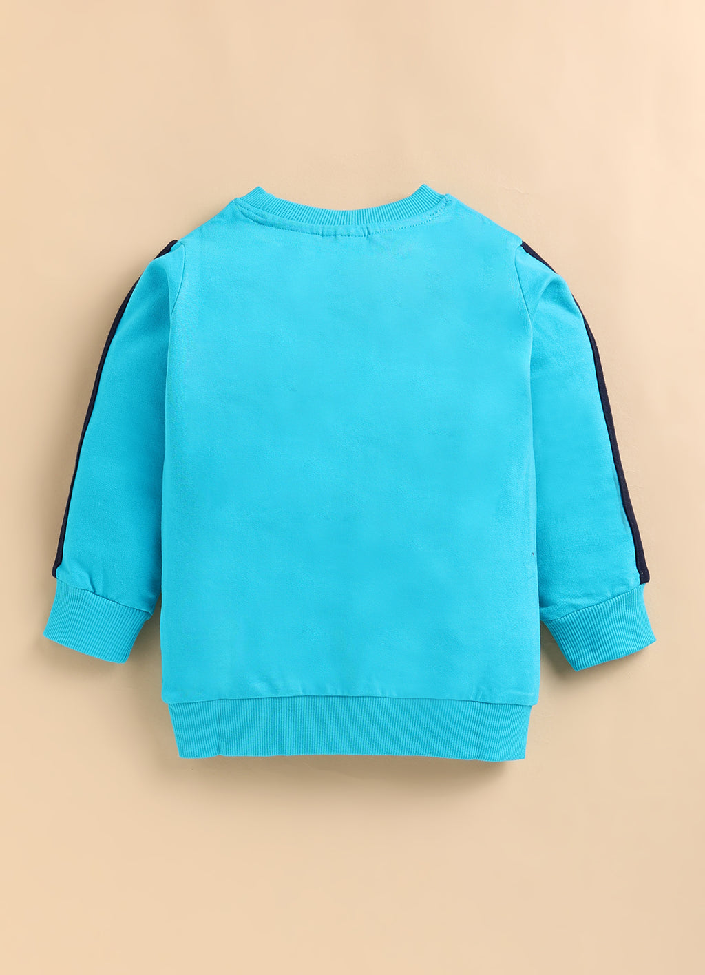 Bumzee Morpho Blue Graphic Print Sweatshirt, Full Sleeves, French Terry (Style Peb9685N)