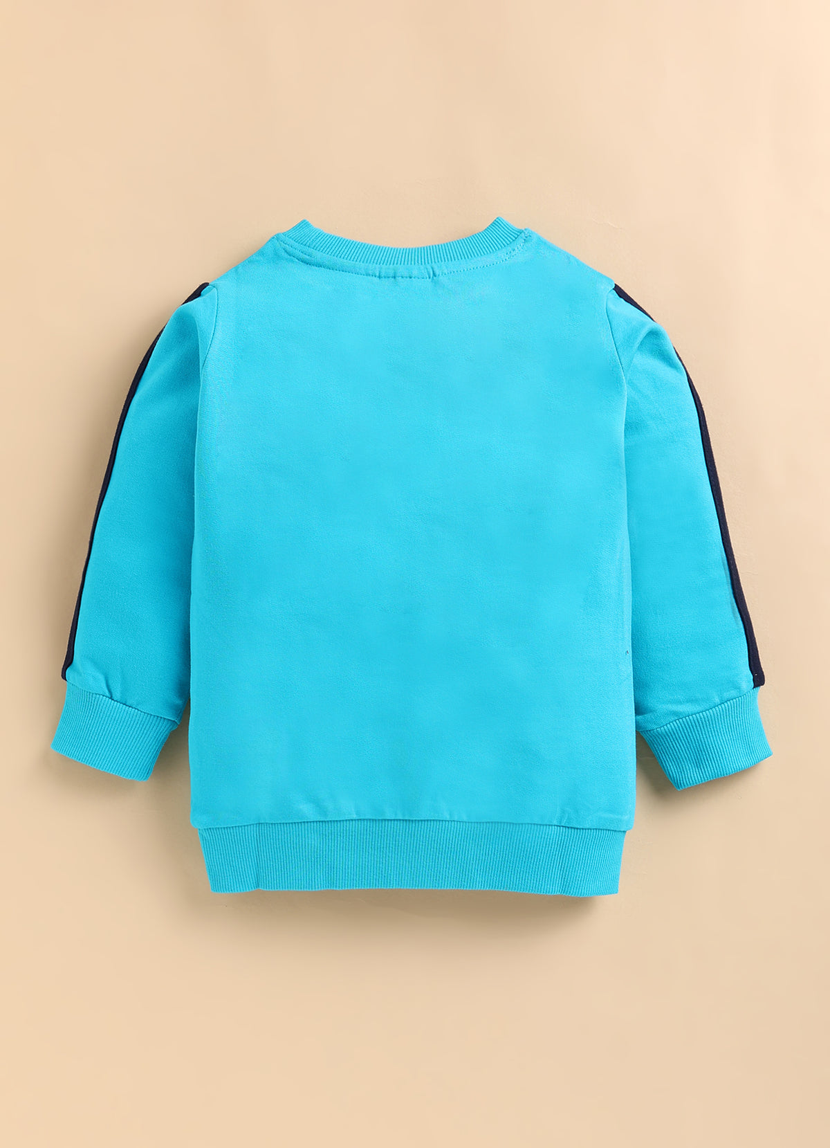 Bumzee Morpho Blue Graphic Print Sweatshirt, Full Sleeves, French Terry (Style Peb9685N)