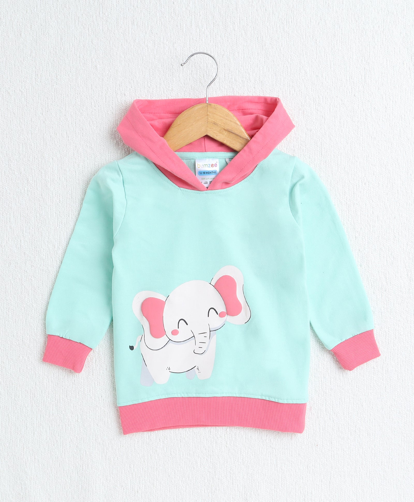Girls  French Terry Elephant Hooded Sweatshirt - Mint Green & Pink