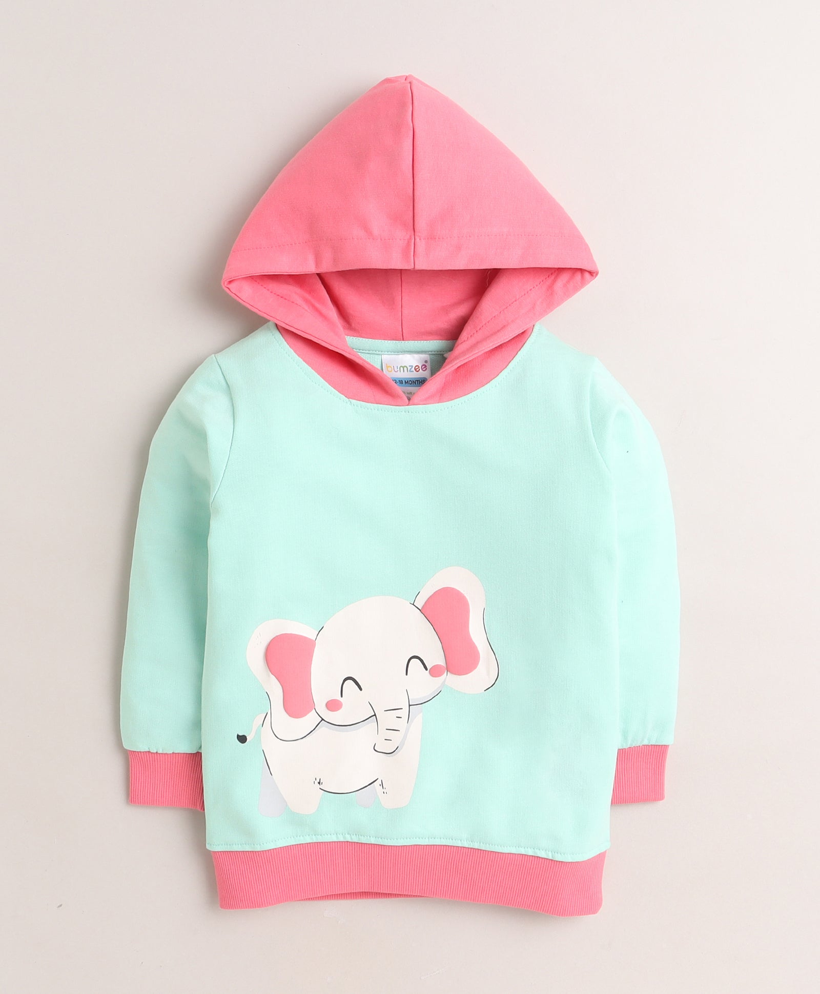 Girls  French Terry Elephant Hooded Sweatshirt - Mint Green & Pink