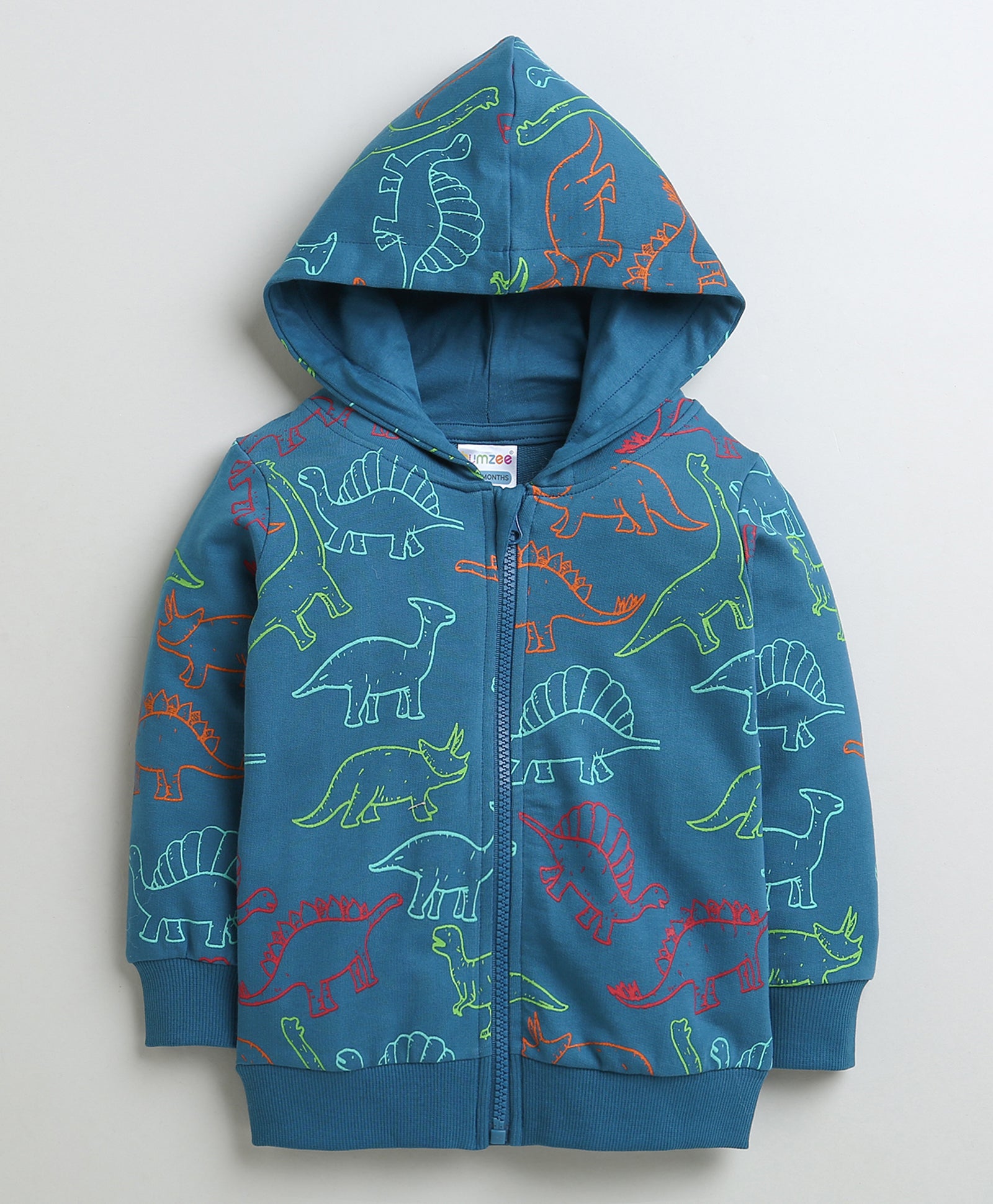 Boys French Terry Dinosaur Hooded Sweatshirt - Teal Blue