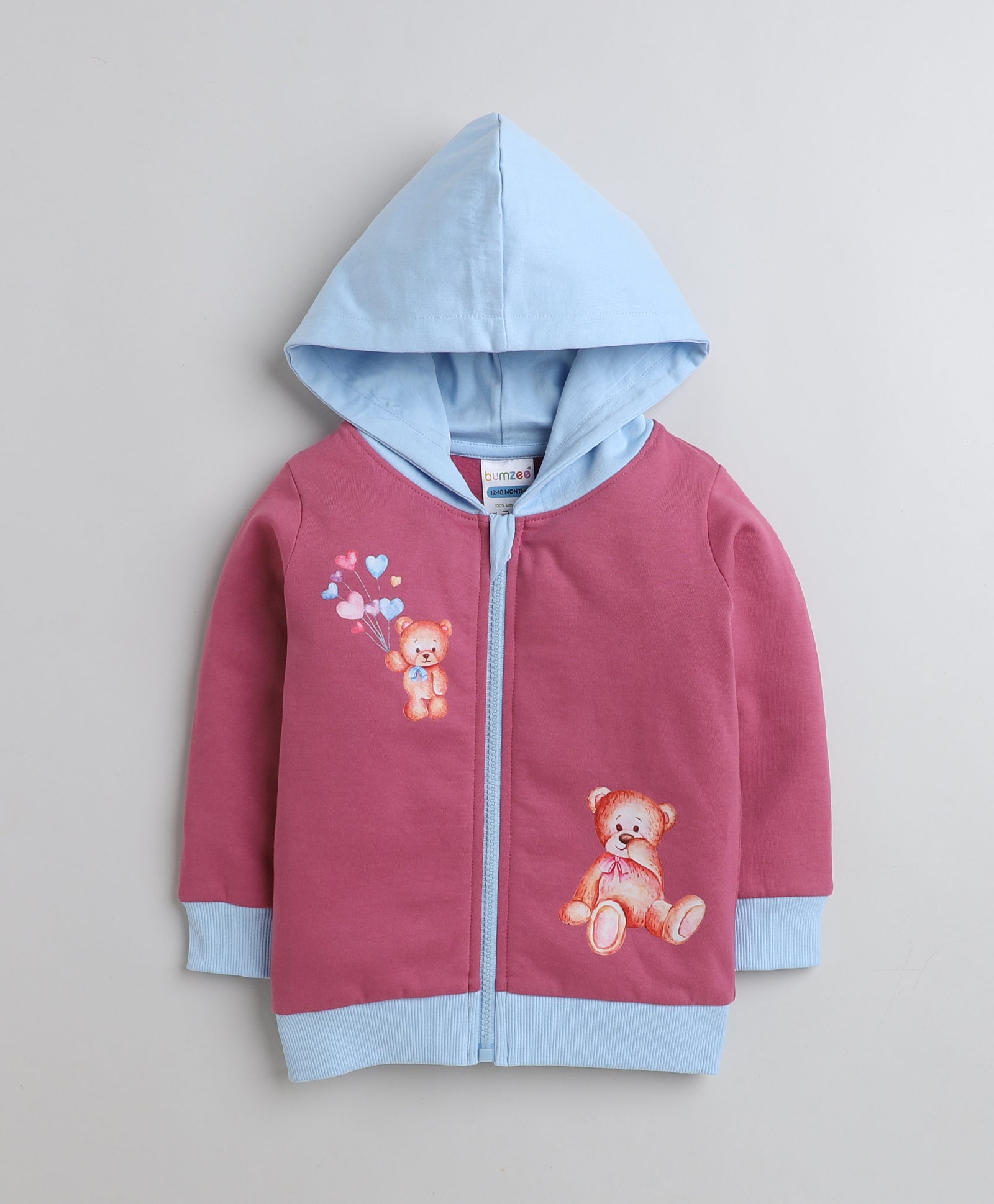 Girls Fleece Teddy Hooded Sweatshirt - Mauve & Sky Blue