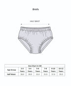 Bumzee Navy & Blue Briefs, Pack of 3, Compact Cotton